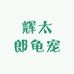 辉太郎龟宠