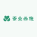 茶业西施