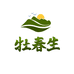 牡春生