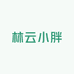 林云小胖