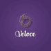Veloce泳衣工厂