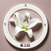 花之信园艺