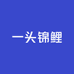 一头锦鲤