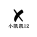小凯凯12