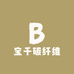 宝千碳纤维伸缩杆