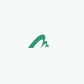 龙泉市正龙刀剑