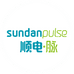 顺电脉sundanpulse企业店