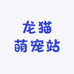 龙猫萌宠站
