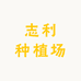 志利牡丹种植场