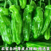 绿果农产品臻选