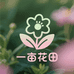 一亩花田小院
