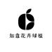 韶安芝洲果树苗木专卖店