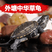 上高县大洋水产