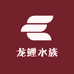 龙鲤水族