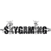 天枝Skygaming