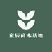童辰果树苗木专营店