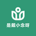 是戴小念呀