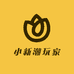 小新潮玩家