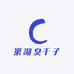 巢湖臭干子