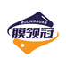 MO膜领冠隐形车衣