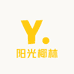 阳光椰林