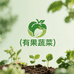 有果蔬菜种苗