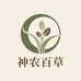 神农百草种业