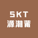 SKT源潮莆