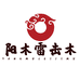 阳木文化雷击木