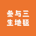 叁与三生地毯