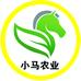 小马优选金桔店