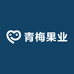 诏安青梅果业