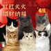 宠宝乐购