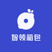 智领箱包