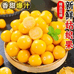 金豆豆姑娘果