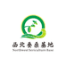 西北蚕桑基地