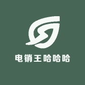 电销王哈哈哈