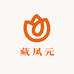 藏凤元