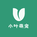 小叶子萌宠