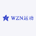 WZN运动