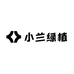 小兰绿植