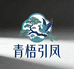 青梧引凤大百货商贸
