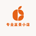专业盆景小店