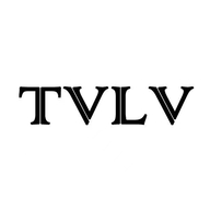 TVLV广州宏琪瑞贸易有限公司美妆专卖店