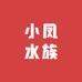 小凤水族