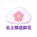云上精选鲜花