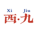 重庆西九大码女装