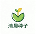 清晨种子