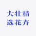 大壮精选花卉