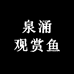 泉涌观赏鱼